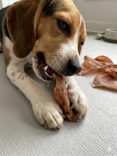 Load image into Gallery viewer, Dog Bones Premium Pig Eears (10 Units) Healthy Treats