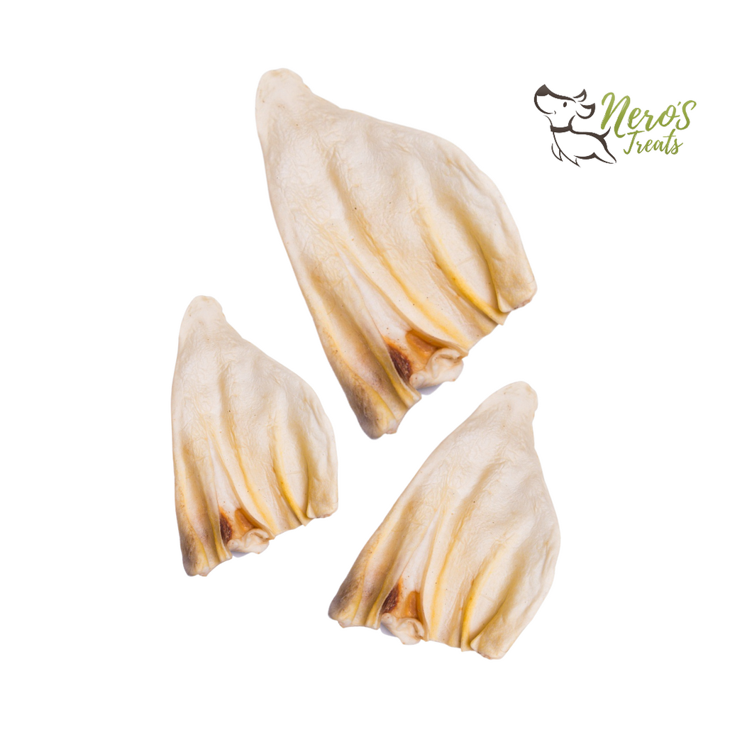 Jumbo Cow Ears (5 Pack) FDA & USDA Approved.